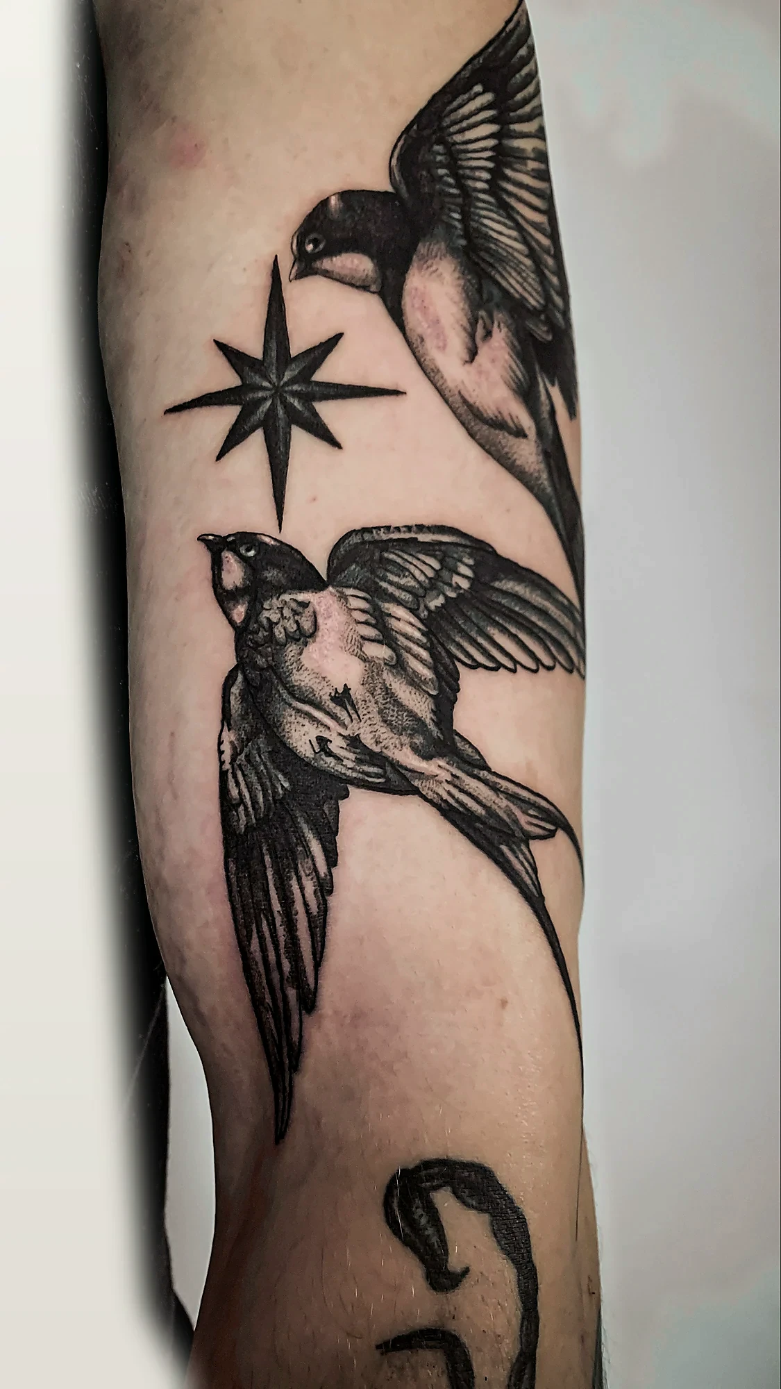 Blackwork Tattoo von Lloyd Salomon in Bremen – Motiv 021