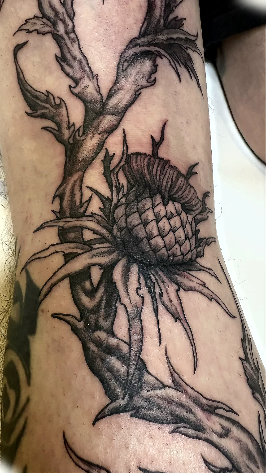 Blackwork Tattoo von Lloyd Salomon in Bremen – Motiv 038